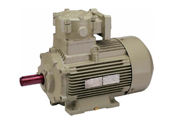 Flameproof Motors