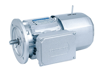AC Electric Motors