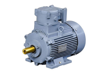Atex Motor - Flameproof Motor
