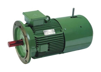 Crane Duty Motors – Standard & Flameproof