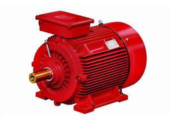 Fire Fighting Motors