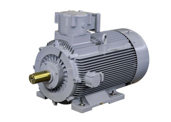 IE4 Flameproof Motors