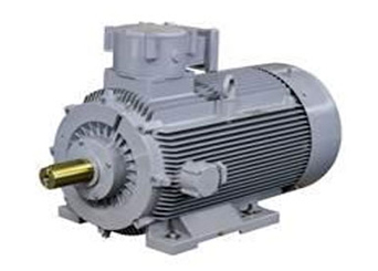 Multi Speed Motors – Standard & Flameproof